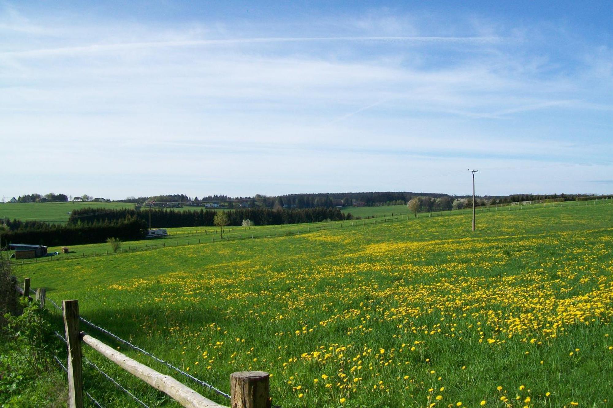 Landhaus Eifelsicht Hellenthal Zewnętrze zdjęcie